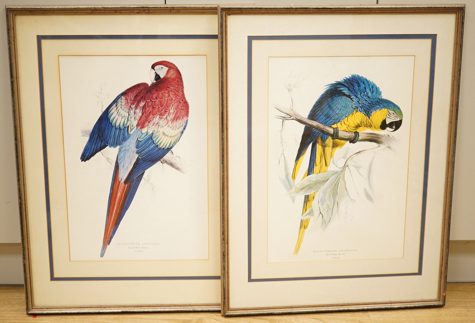 After Edward Lear (1812-1888), pair of ornithological lithographs, Macaws, 51 x 34cm. Condition - good